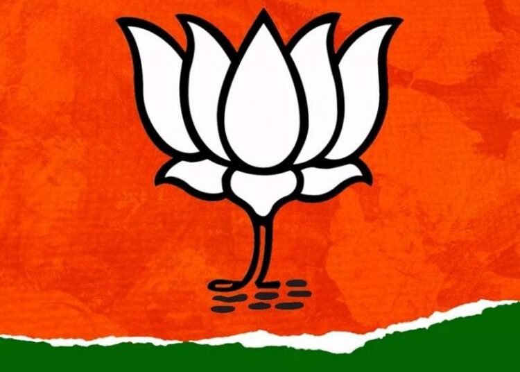 bharatiya janata party 2