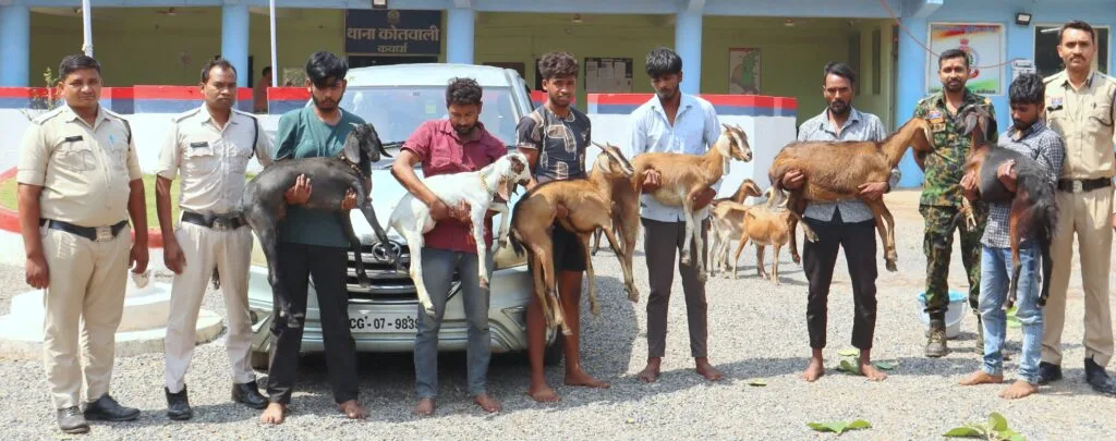 गाड़ी में बकरी, सिर पर चोरी – कबीरधाम की अनोखी कहानी: 80 से ज़्यादा बकरियाँ चुराने वाले बकरी चोर गिरोह का पर्दाफाश, 7 गिरफ्तार 2 गाड़ी में बकरी, सिर पर चोरी – कबीरधाम की अनोखी कहानी: 80 से ज़्यादा बकरियाँ चुराने वाले बकरी चोर गिरोह का पर्दाफाश, 7 गिरफ्तार