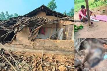 हाथी के हमले से तीन की मौत: गांव में दहशत का माहौल