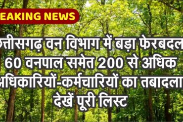 छत्तीसगढ़ वन विभाग में बड़ा फेरबदल, 60 वनपाल समेत 200 से अधिक कर्मचारियों का तबादला, देखें पूरी लिस्ट