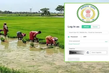 छत्तीसगढ़ सरकार का नया नियम: धान बेचना है समर्थन मूल्य पर? पहले इस पोर्टल पर नाम दर्ज कराएं, वरना बोनस भी जाएगा हाथ से, पढ़ें पूरी खबर