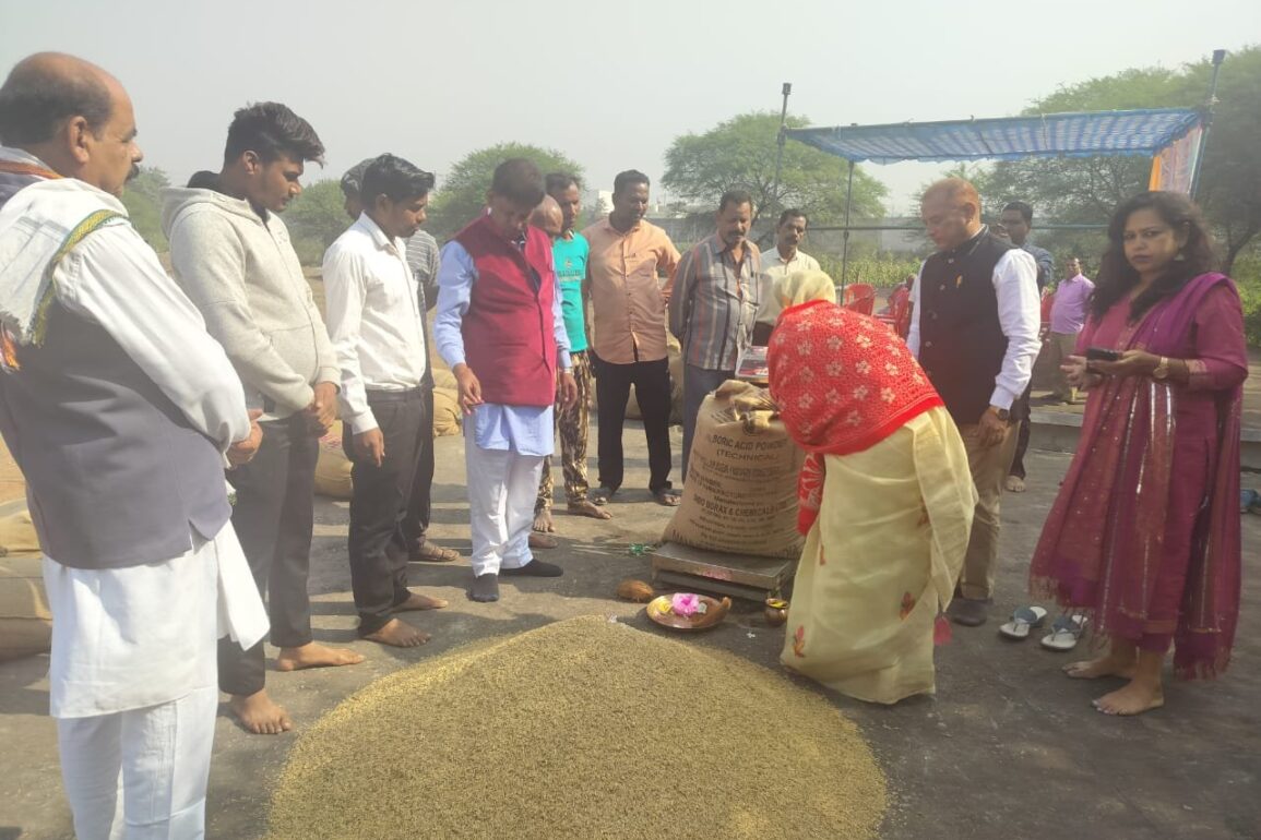 छत्तीसगढ़ में धान खरीदी शुरू: सीएम साय बोले— किसानों की मेहनत का सम्मान हमारा संकल्प