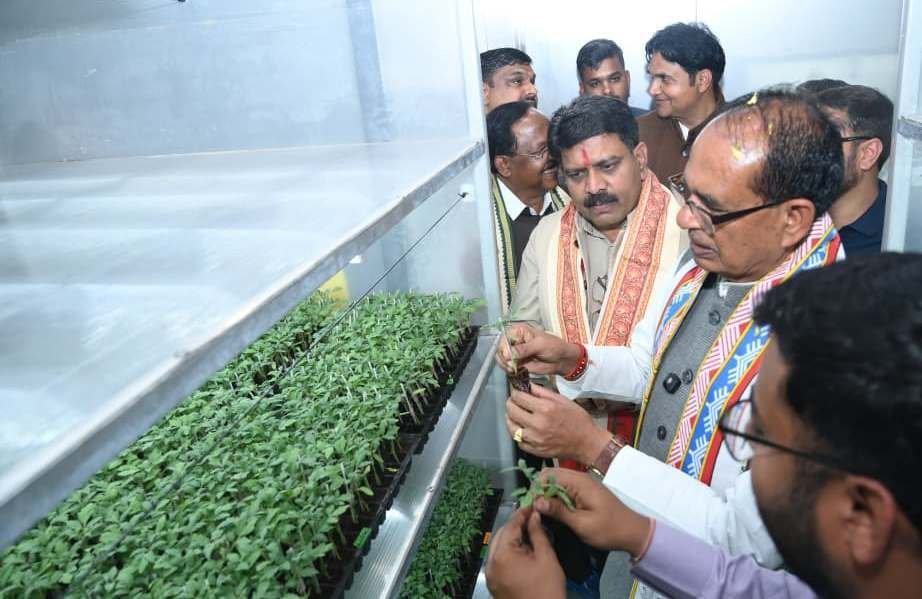 1769877787 367a35ddc30441019aa8 1 1