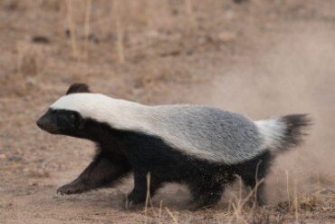 1770196499 a97dffaaa5e06da5e350