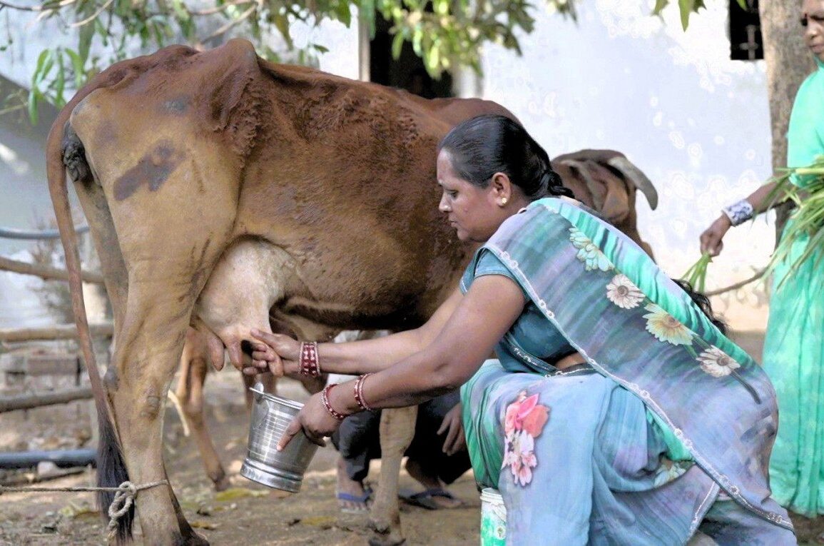 आत्मनिर्भरता की मिसाल: औराटोला बना बालोद का पहला लखपति दीदी ग्राम