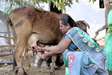 आत्मनिर्भरता की मिसाल: औराटोला बना बालोद का पहला लखपति दीदी ग्राम