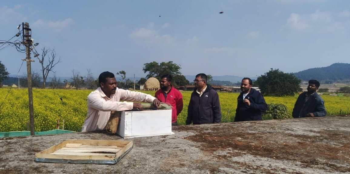 1775897719 9a2a236fb7f46f95db4f