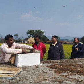 1775897719 9a2a236fb7f46f95db4f