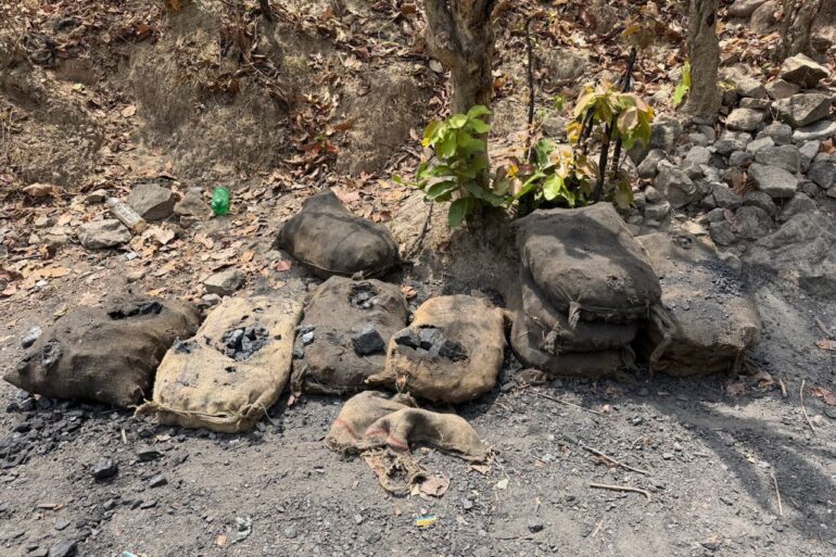 1776519501 c03512c13bcaf5611afb