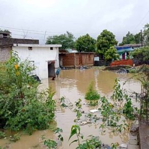 Chhattisgarh News 03 3 23