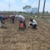 Chhattisgarh News 06 2 12