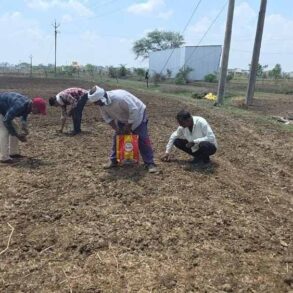 Chhattisgarh News 06 2 12