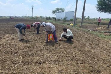 Chhattisgarh News 06 2 12
