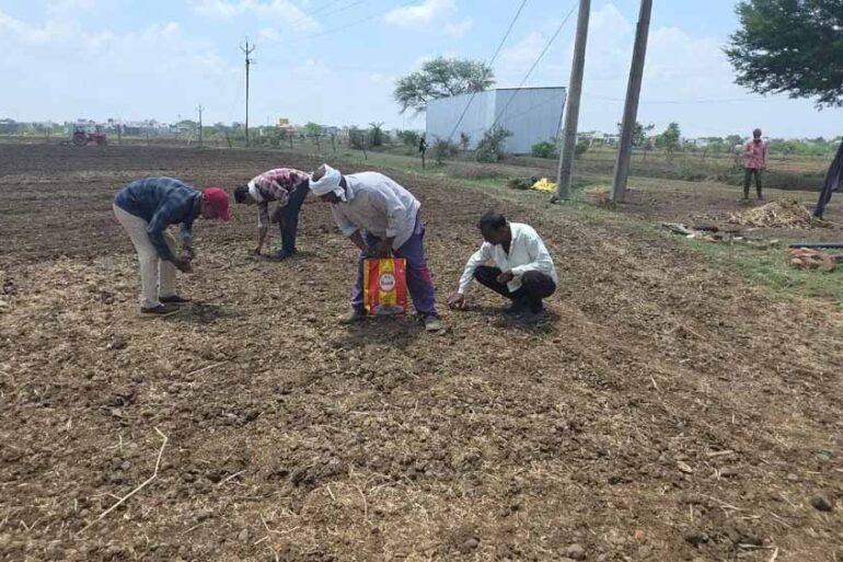 Chhattisgarh News 06 2 12