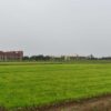 Kisan 01 4