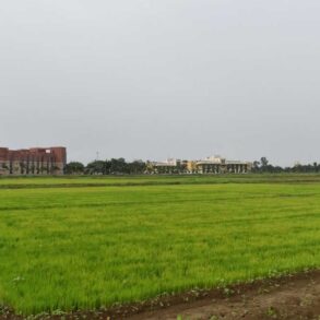 Kisan 01 4