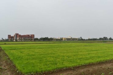 Kisan 01 4