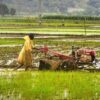 kISAN 02 4