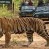 Chhattisgarh News 06 2 13