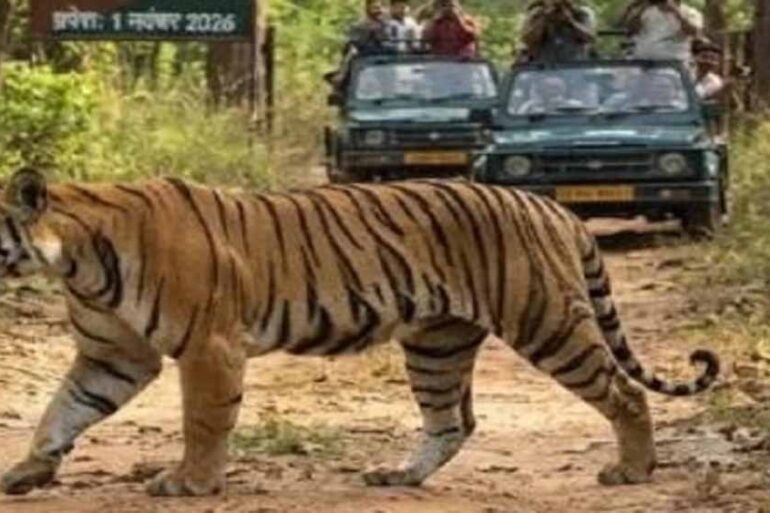 Chhattisgarh News 06 2 13